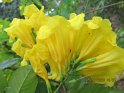 le 05-12 IMG_5078