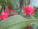 le 05-12 IMG_5081