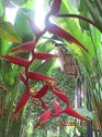 le 05-12 IMG_5083