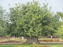 le 06-12 IMG_5140
