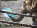 le 07-12 IMG_5183