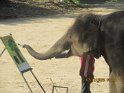 le 07-12 IMG_5184