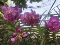 le 07-12 IMG_5188