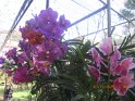 le 07-12 IMG_5189