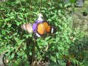 le 07-12 IMG_5193