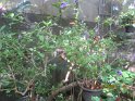 le 07-12 IMG_5195