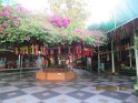 le 08-12 IMG_5217