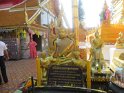 le 08-12 IMG_5238