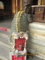 le 08-12 IMG_5253