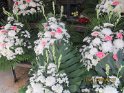 le 09-12 IMG_5284