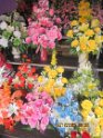 le 09-12 IMG_5285