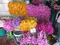 le 09-12 IMG_5286