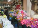 le 09-12 IMG_5289